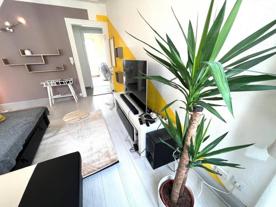 Lumiere Secrete Mulhouse Centre Parking Tram Apartment ภายนอก รูปภาพ